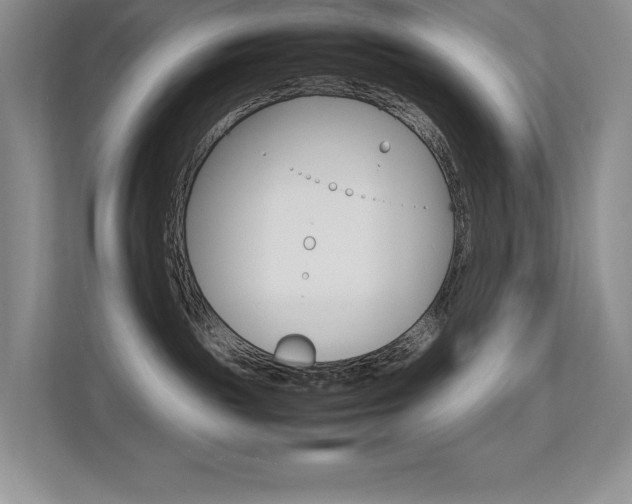 X0000113370189200909151034