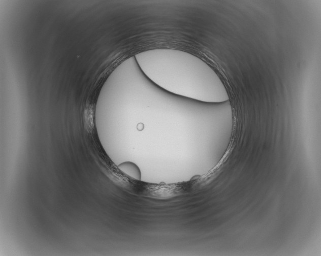 X0000113370191200909151034