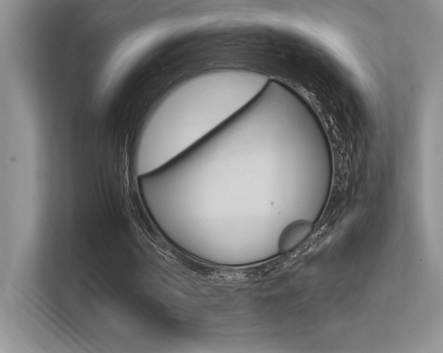 X0000113370194200909151033