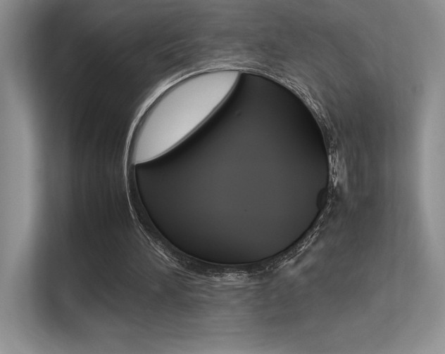 X0000113370196200909151033