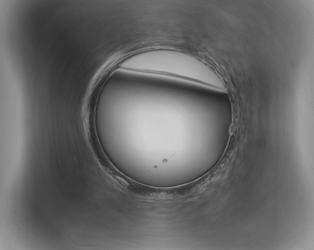 X0000113370197200909151033