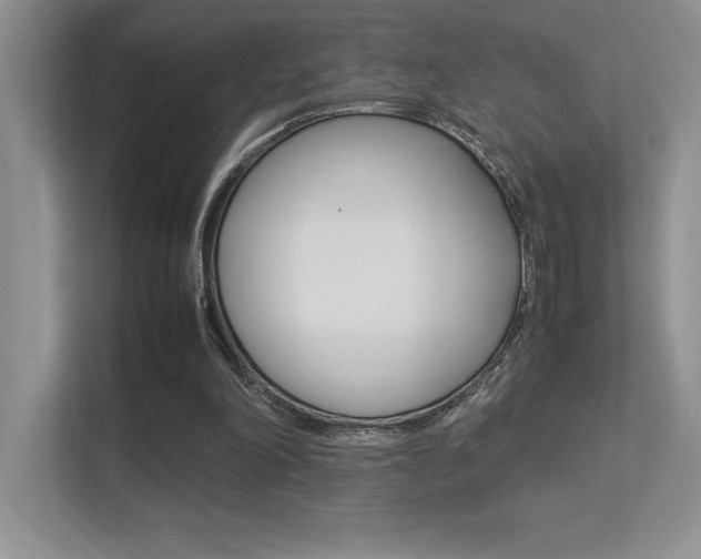 X0000113370198200909151033