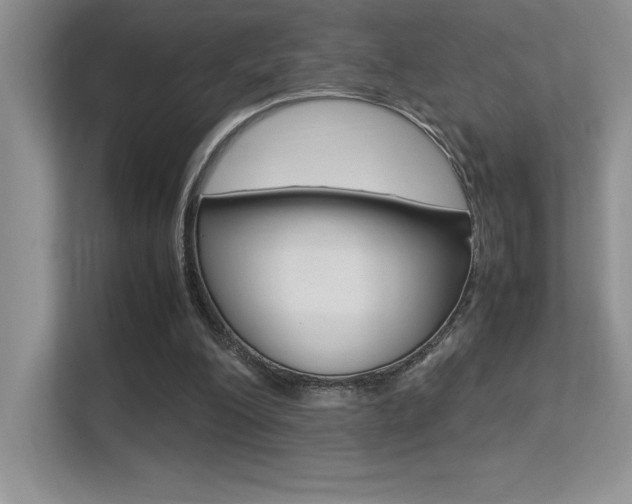 X0000113370200200909151033