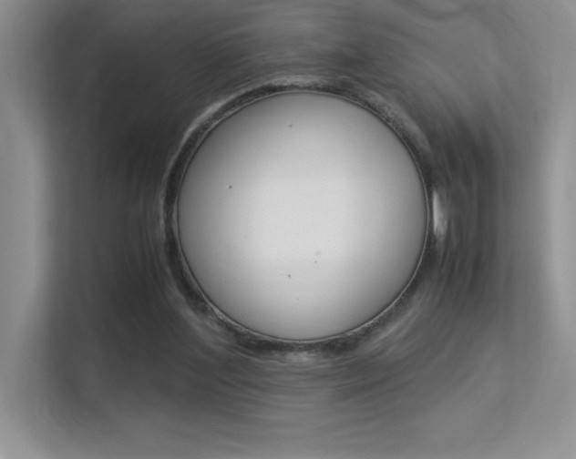 X0000113370204200909151033