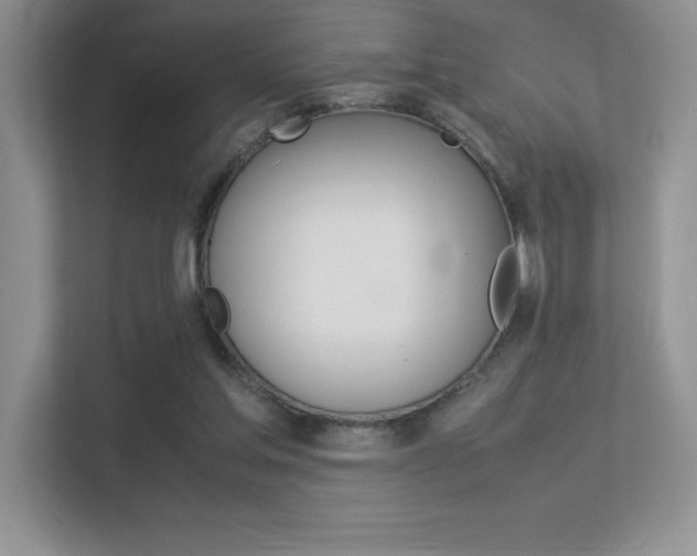 X0000113370205200909151033