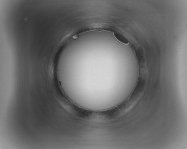 X0000113370207200909151033