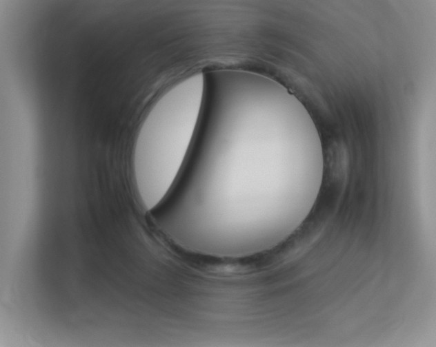 X0000113370212200909151033