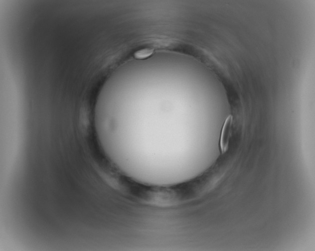 X0000113370215200909151033