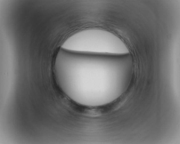 X0000113370221200909151033