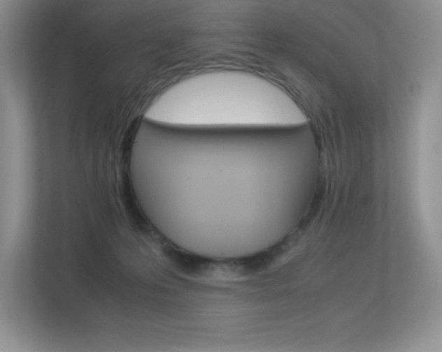 X0000113370223200909151033