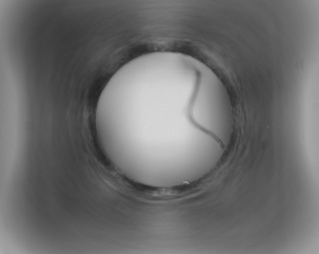 X0000113370225200909151033
