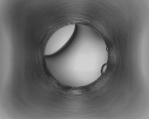 X0000113370228200909151033