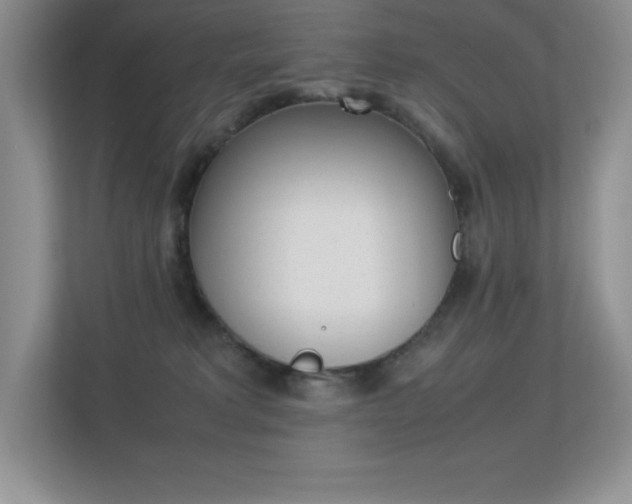 X0000113370229200909151033