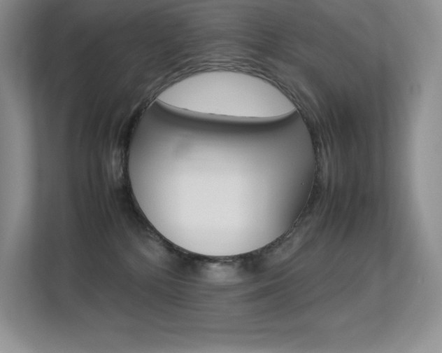 X0000113370232200909151033