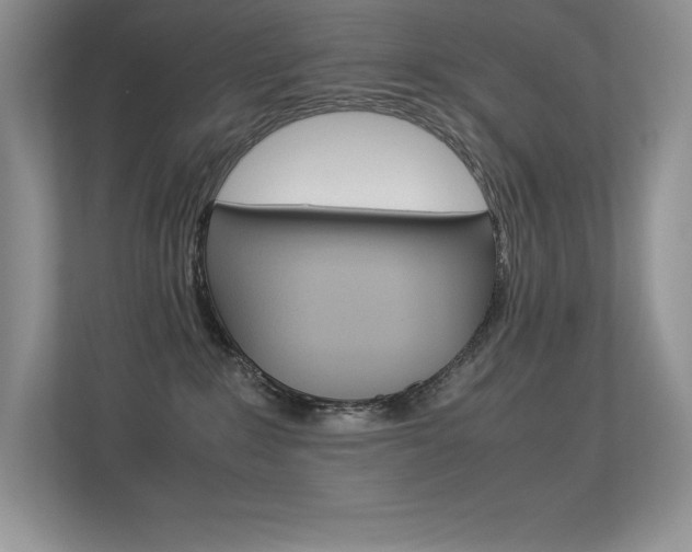 X0000113370235200909151033