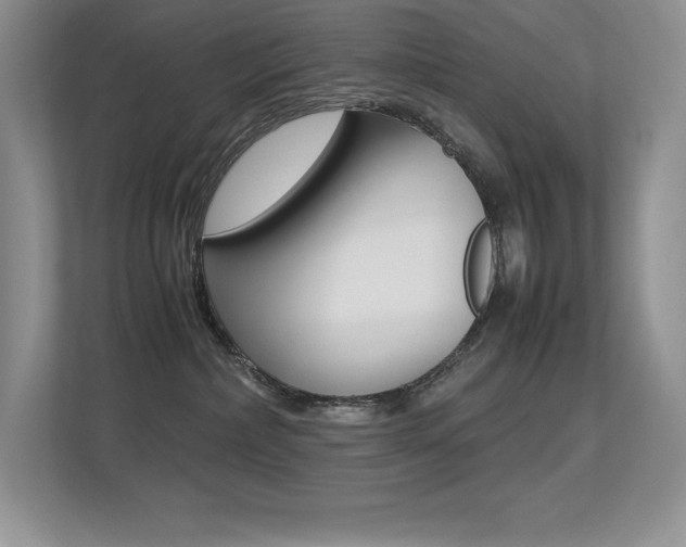 X0000113370236200909151033