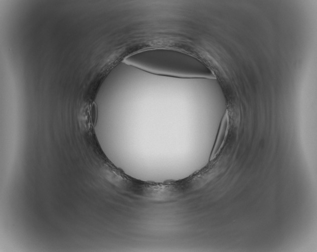 X0000113370237200909151033
