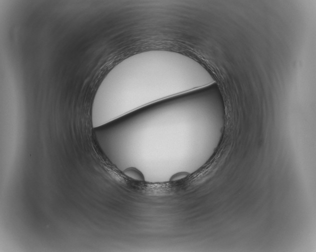 X0000113370240200909151033