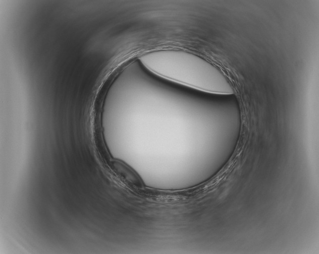 X0000113370242200909151032