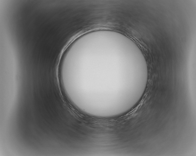 X0000113370244200909151032