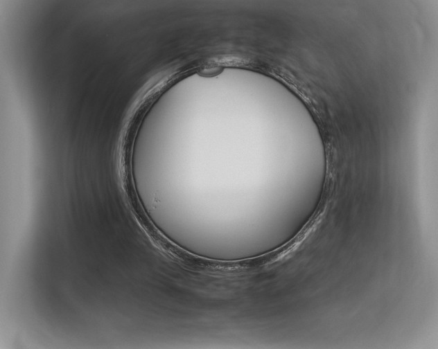 X0000113370245200909151032