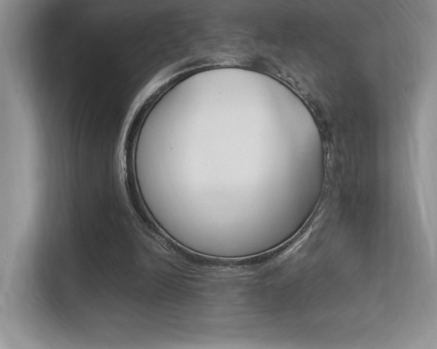 X0000113370246200909151032