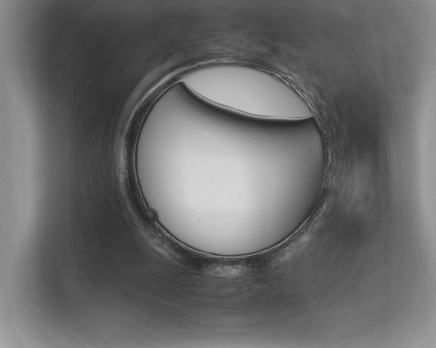 X0000113370247200909151032