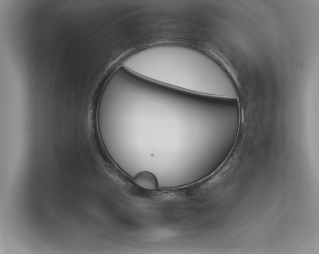 X0000113370249200909151032
