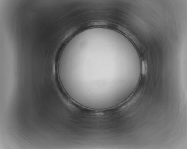 X0000113370253200909151032