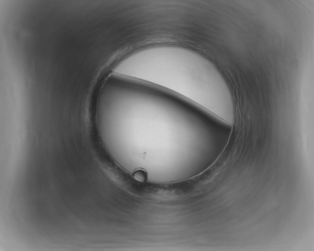 X0000113370256200909151032