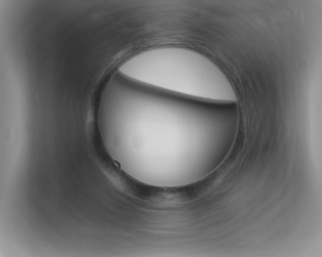 X0000113370260200909151033