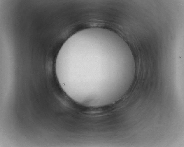 X0000113370263200909151033