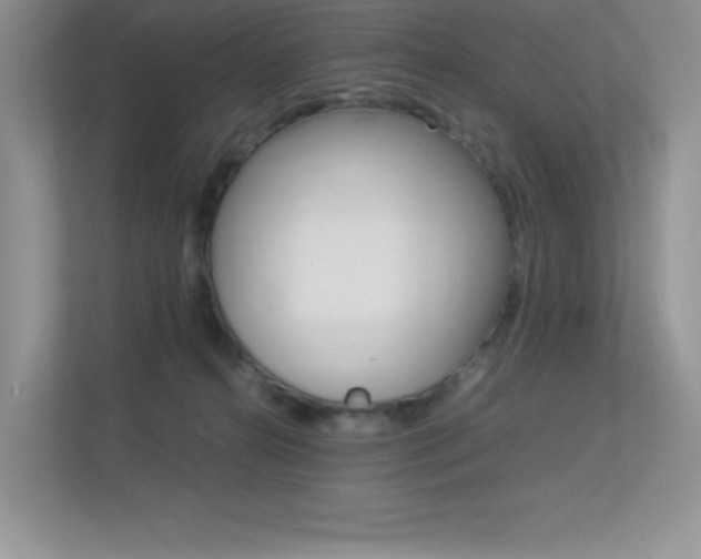 X0000113370272200909151033