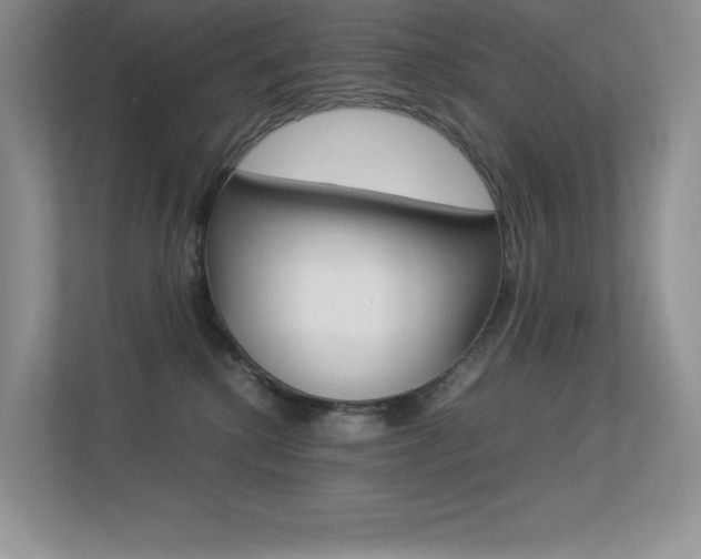X0000113370280200909151033