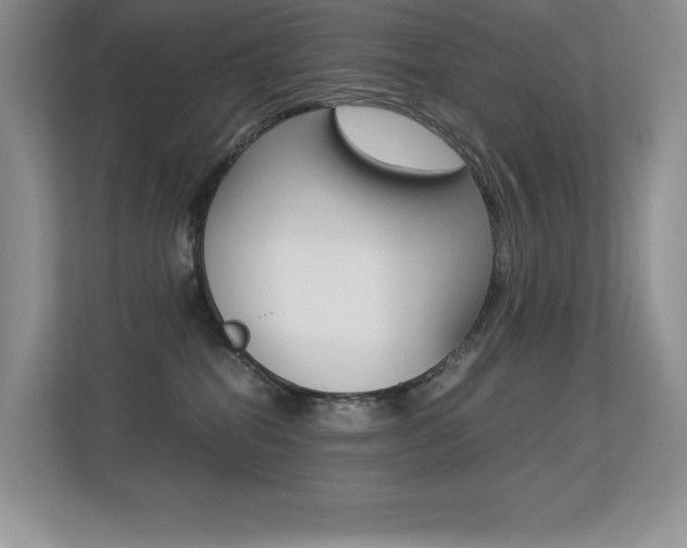 X0000113370282200909151033
