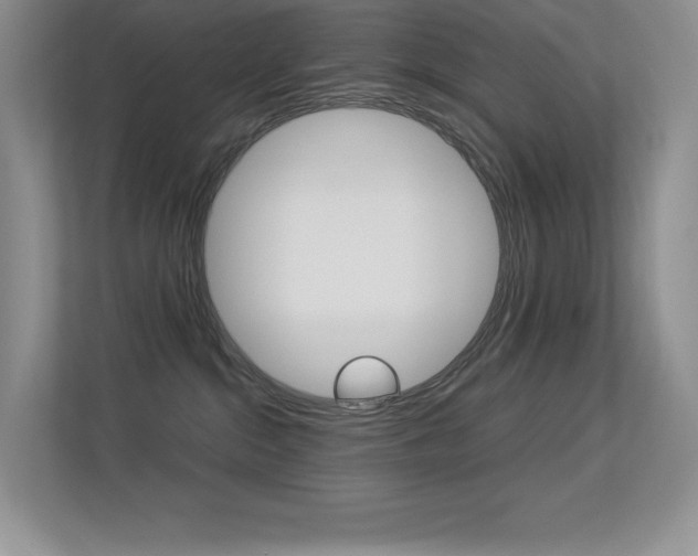 X0000113370284200909151033
