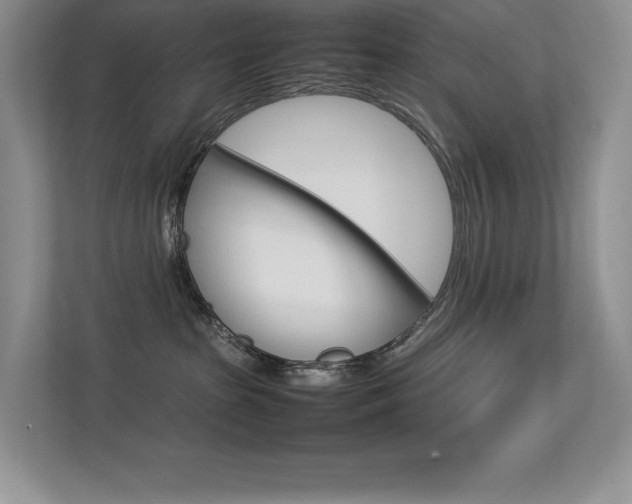 X0000113370285200909151033