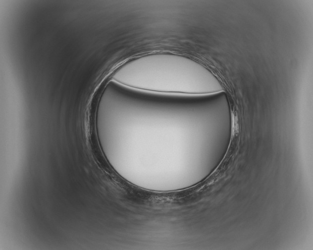 X0000113370291200909151032