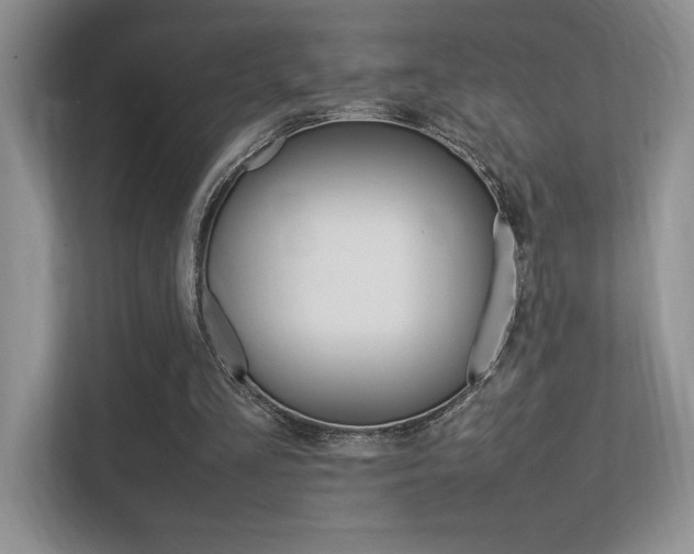 X0000113370293200909151032