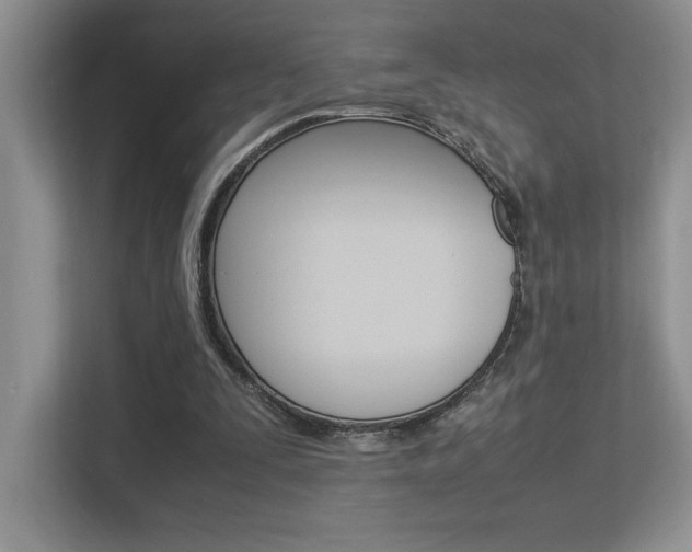 X0000113370295200909151032