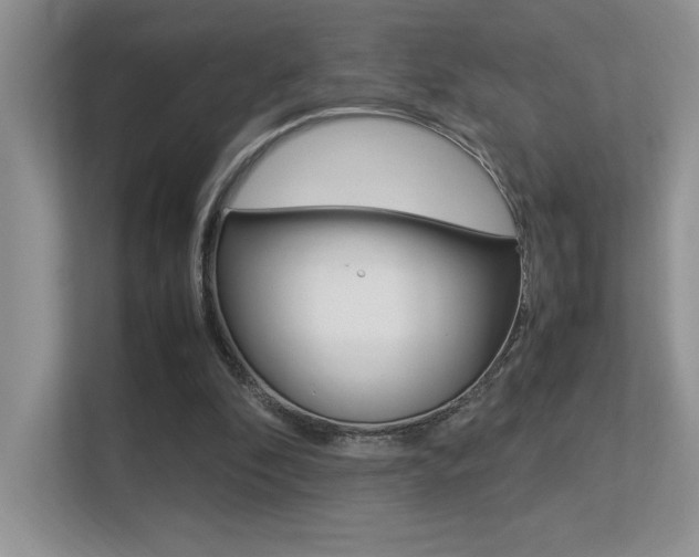 X0000113370296200909151032