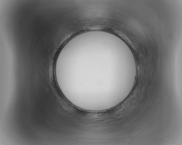X0000113370297200909151032