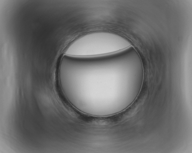X0000113370299200909151032