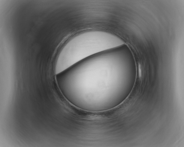 X0000113370300200909151032