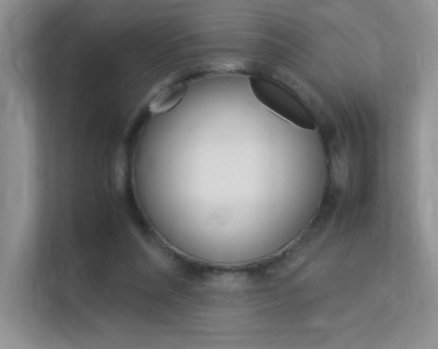 X0000113370304200909151032