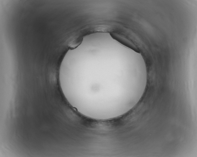 X0000113370305200909151032