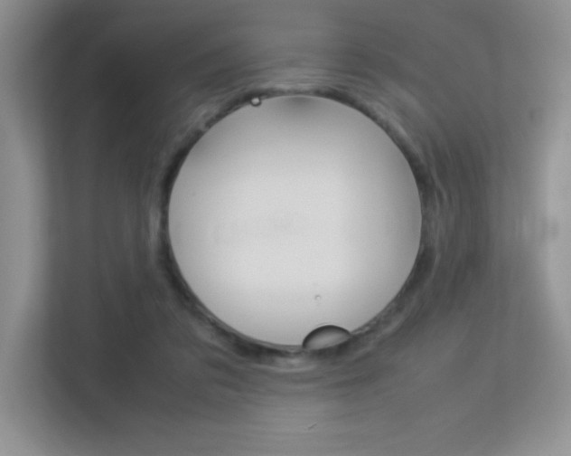 X0000113370309200909151032
