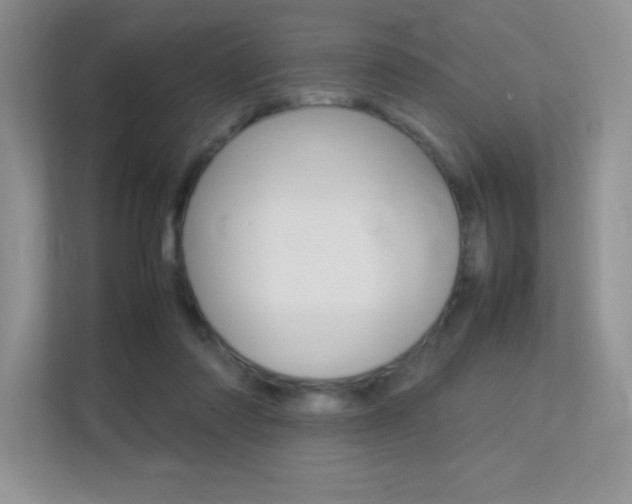 X0000113370310200909151032