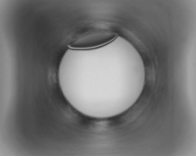X0000113370313200909151032
