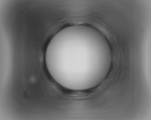 X0000113370315200909151032